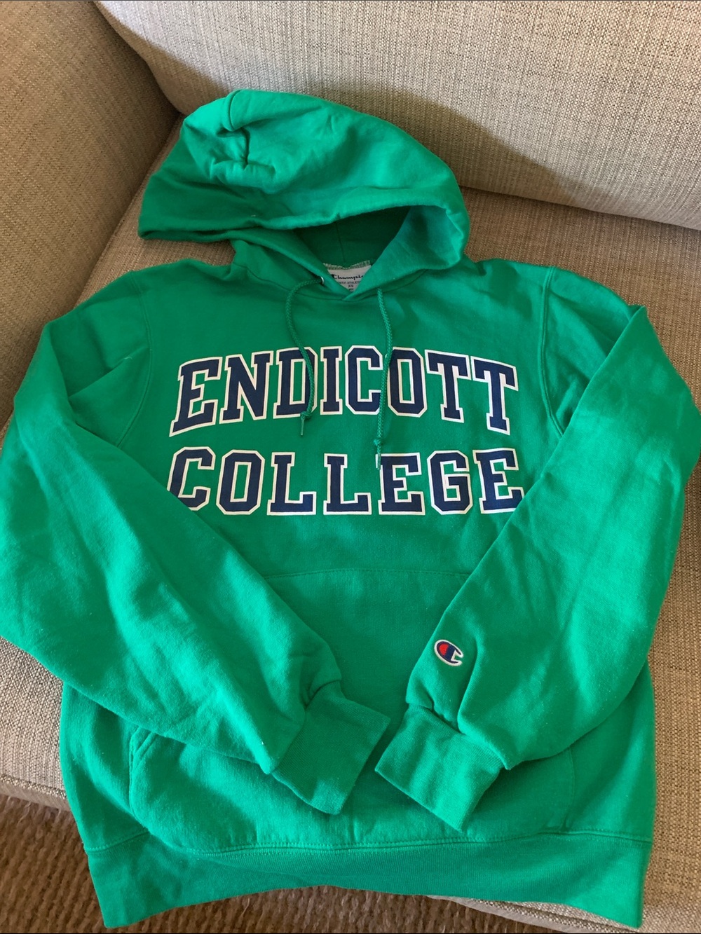 Champion Endicott College Green Hooded Sweatshirt
